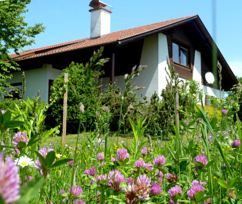 blumenwiese