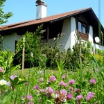 blumenwiese