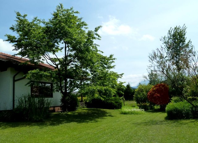 schattige ruheplätze