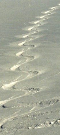 skitour